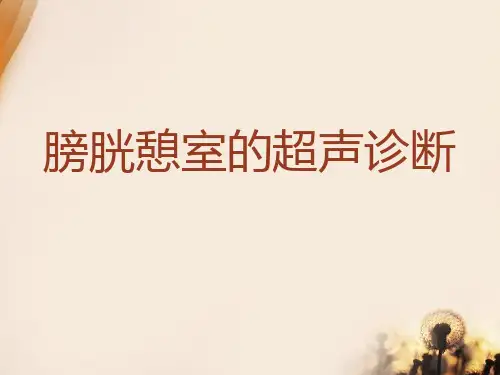膀胱憩室超声诊断  ppt课件