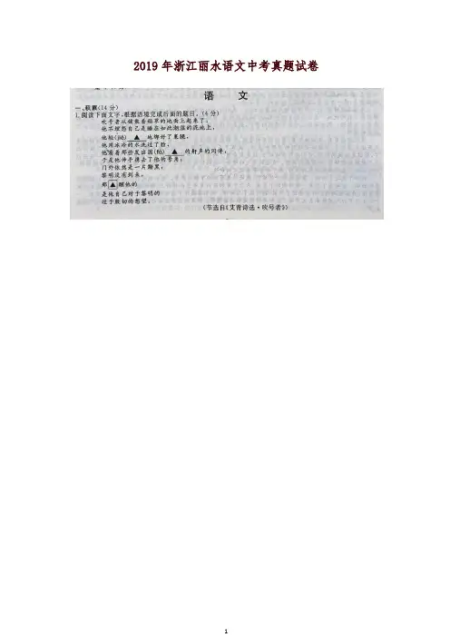 2019年浙江丽水语文中考真题试卷-精品