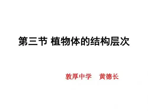 2.2.3植物体的结构层次