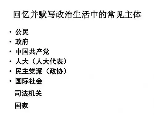 政治生活专题复习111