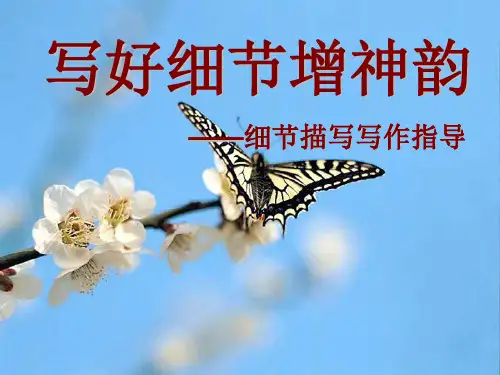 作文中如何运用细节描写