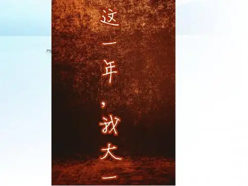 大一一年,你得到了什么