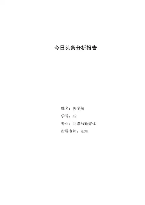 今日头条分析报告