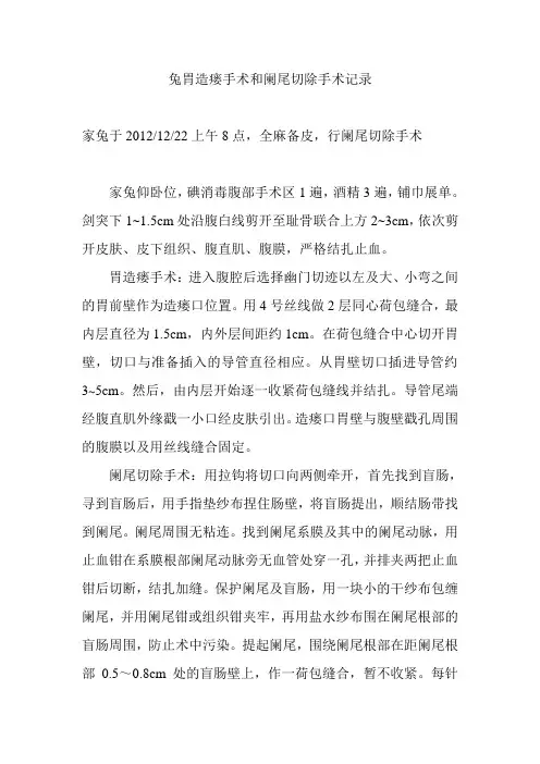 兔胃造瘘手术及阑尾切除手术记录