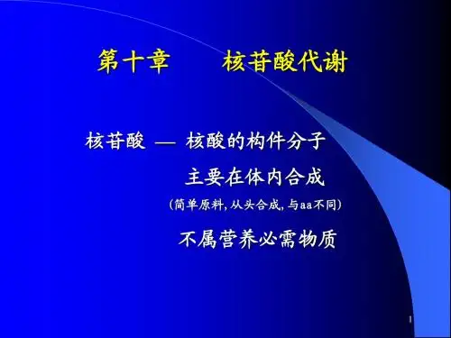 生物化学 核苷酸代谢