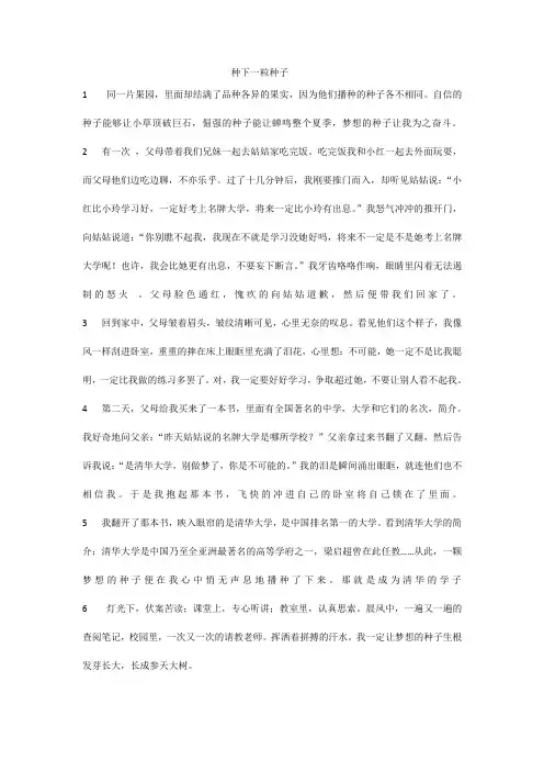 种下一粒种子