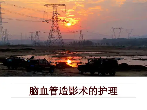 最新脑血管造影术的护理ppt课件