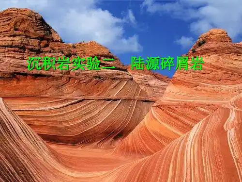 沉积岩实验二 石英砂岩