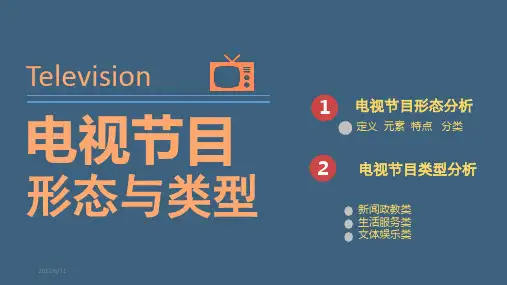 电视节目形态与类型