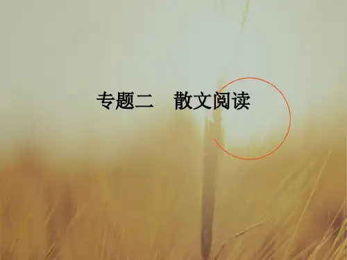2018届高考语文二轮复习江苏专用课件 第二部分 文学类文本阅读 专题二