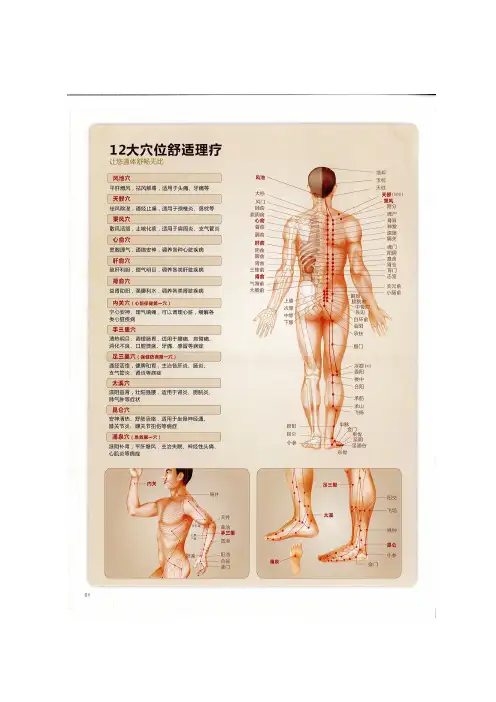 穴位图
