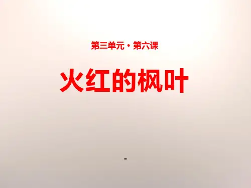 1火红的枫叶