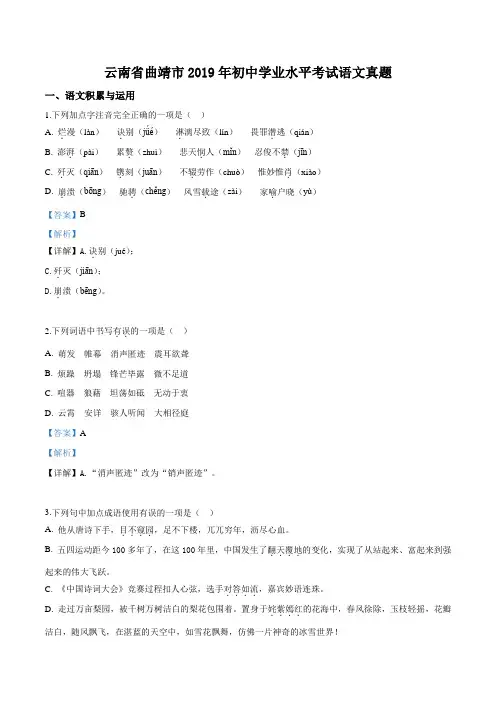 2019年云南省曲靖市中考语文试题(解析版)