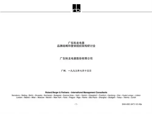 咨询- 罗兰贝格 - 科龙 - 品牌战略和营销组织架构_免费