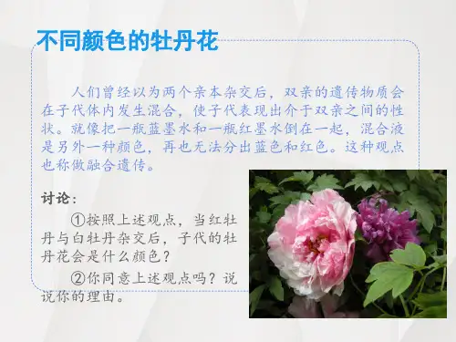 孟德尔的遗传定律(一)课件