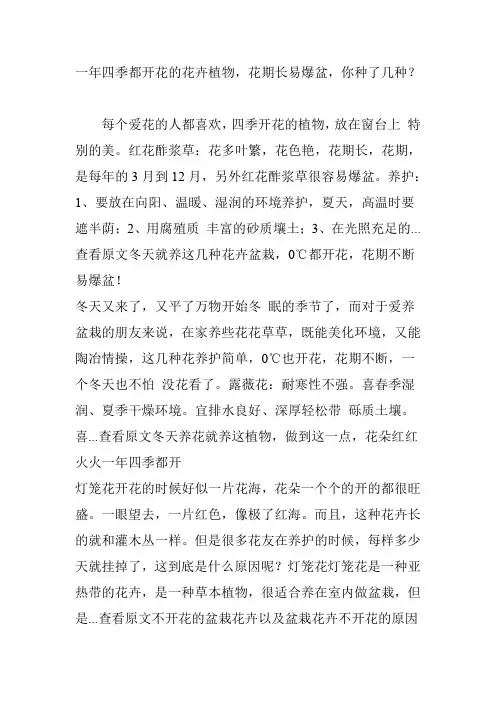 一年四季都开花的花卉植物,花期长易爆盆,你种了几种？