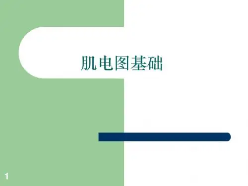 肌电图基础