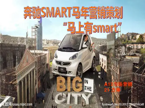 smart营销策划