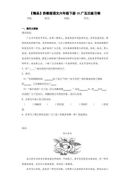 小学语文六年级下册18广玉兰练习卷(含答案解析)
