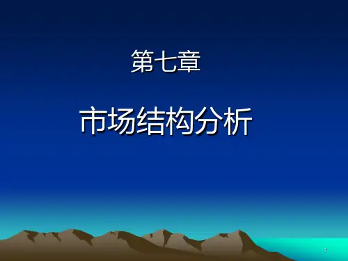 第7章 市场结构分析