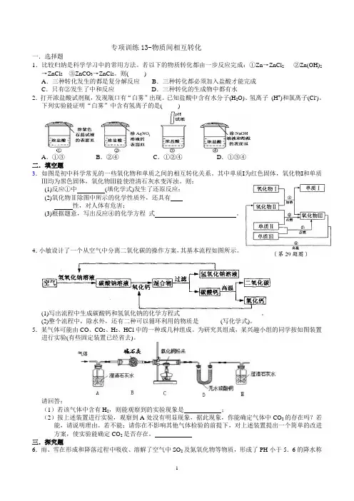 专项训练13-物质间相互转化(碳)