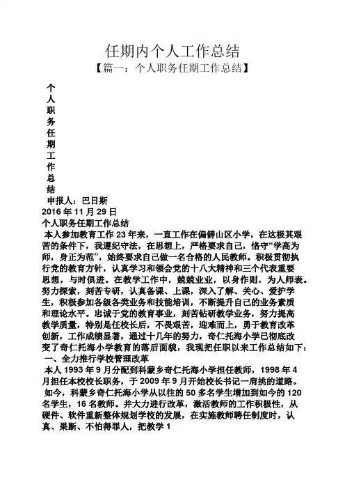 任期内个人工作总结