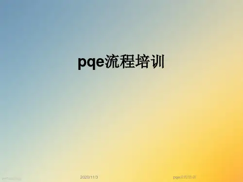 pqe流程培训
