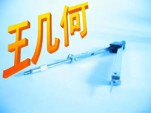 《王几何》课件