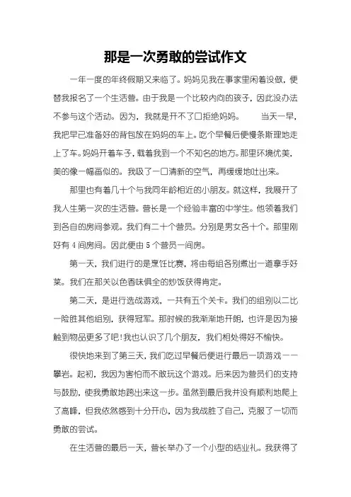 那是一次勇敢的尝试作文