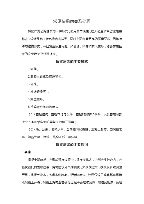 常见桥梁病害及处理