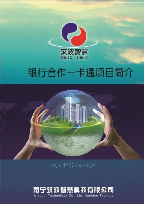 银行投资合作方案