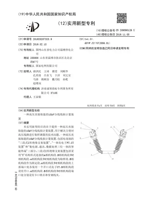 【CN209590126U】一种高压直接取能的10kV分线线损计量装置【专利】