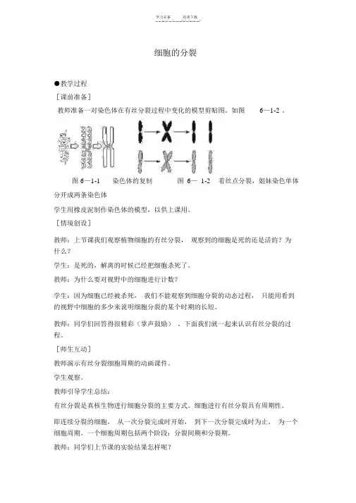 高中生物人教版必修一细胞的增殖(教案)