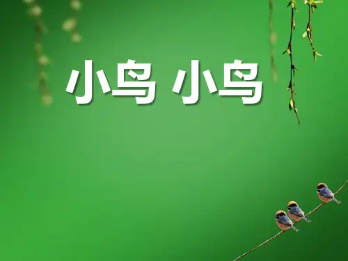 《小鸟,小鸟》音乐PPT课件(5篇)