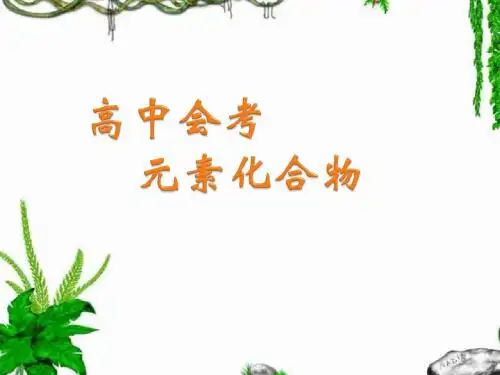 高中化学会考元素-(1)高中化学会考复习
