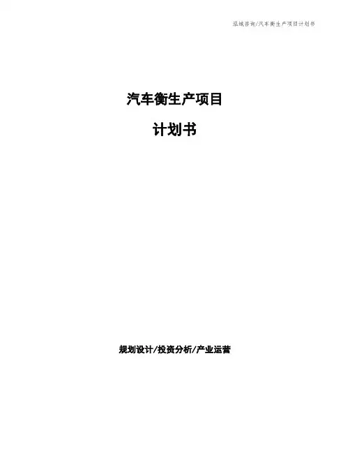 汽车衡生产项目计划书