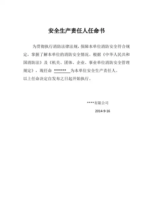 安全、消防责任人任命书
