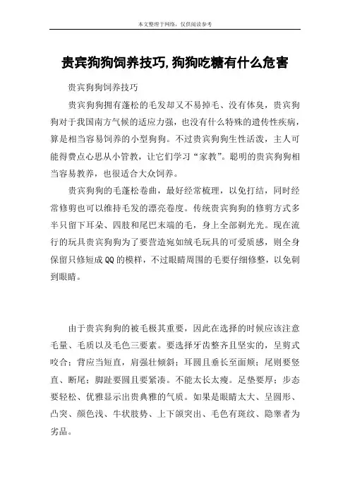 贵宾狗狗饲养技巧,狗狗吃糖有什么危害