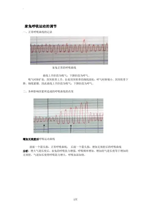 家兔呼吸运动的调节：实验报告及结果分析