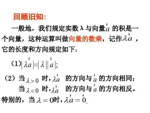 向量的共线定理