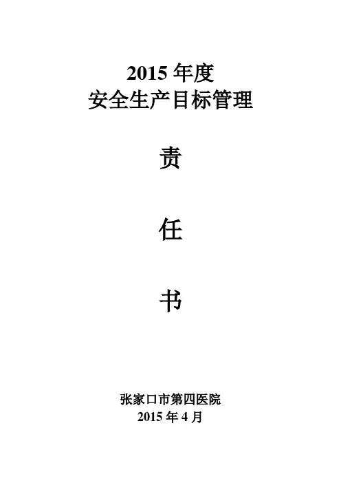 2017安全生产工作要点