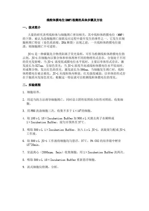 线粒体膜电位(MMP)检测的具体步骤及方法