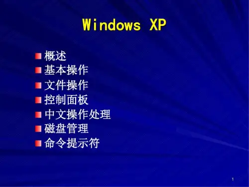 {经典}windowsxp基础知识