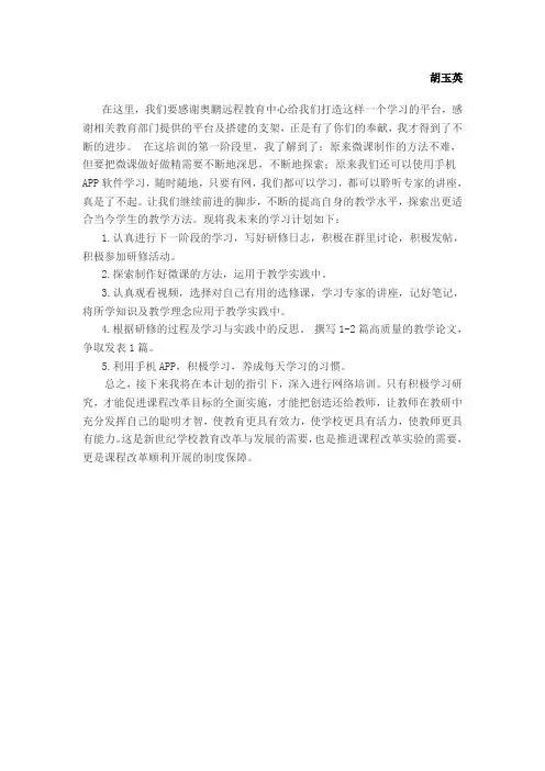 第一阶段研修计划及总结