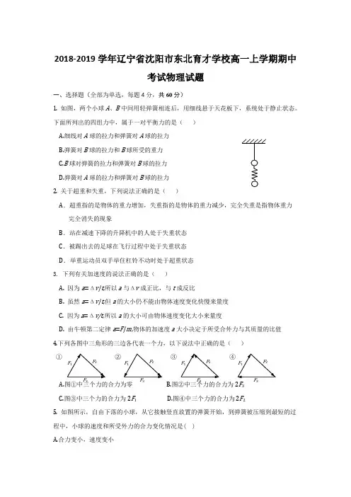 2018-2019学年辽宁省沈阳市东北育才学校高一上学期期中考试物理试题