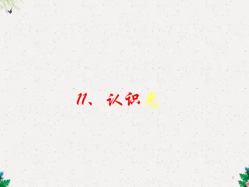 四年级下科学课件(G)-认识光_青岛版