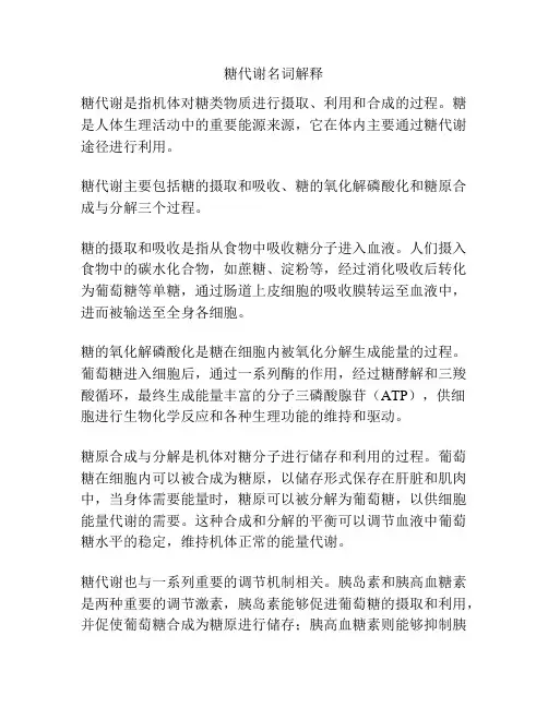 糖代谢名词解释