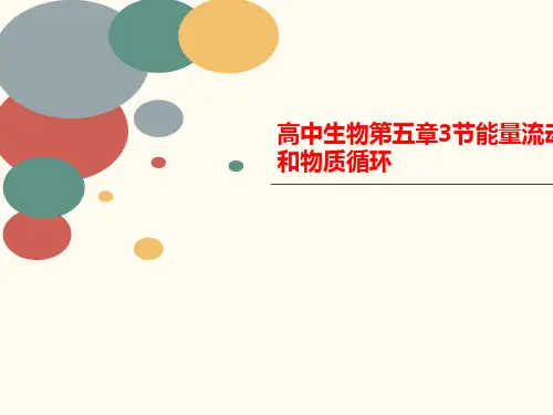 高中生物第五章3节能量流动和物质循环-课件