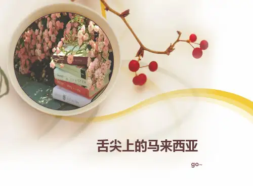 马来西亚美食