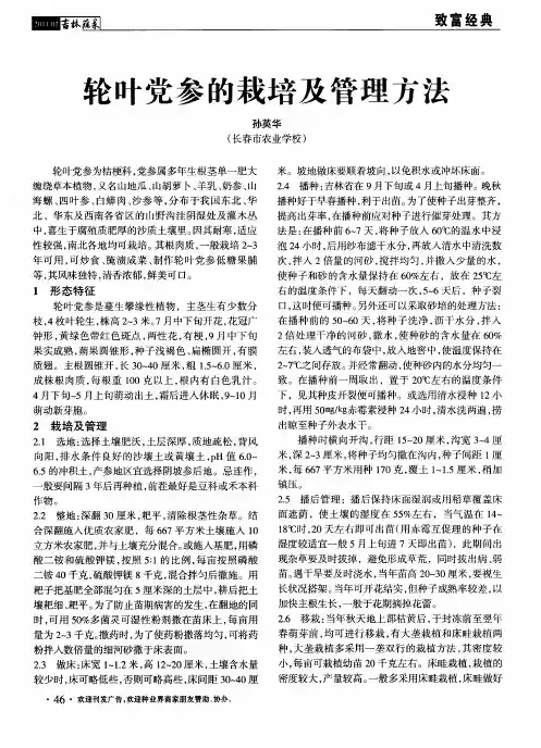 轮叶党参的栽培及管理方法